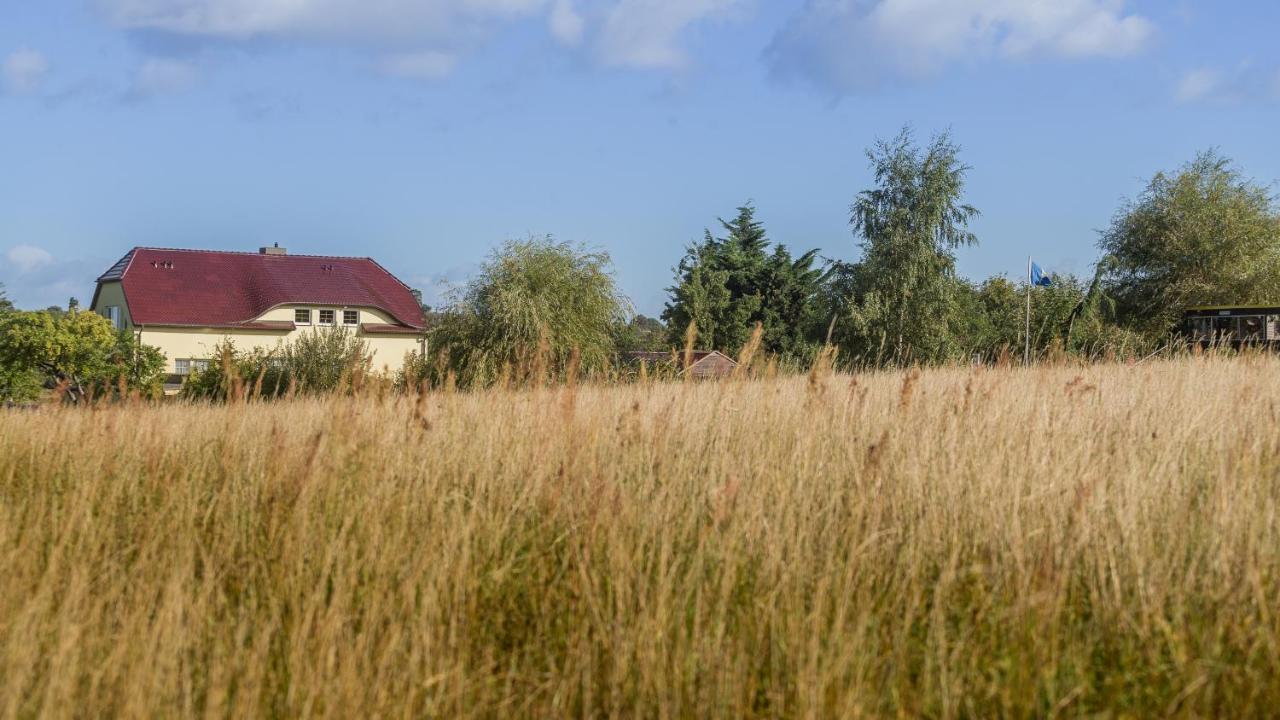 דירות מידלהאגן Haus Silbermowe מראה חיצוני תמונה